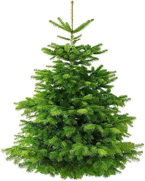 Pflanzen für Dich Echter Weihnachtsbaum Nordmanntanne 160-180 cm, frisch ge günstig online kaufen