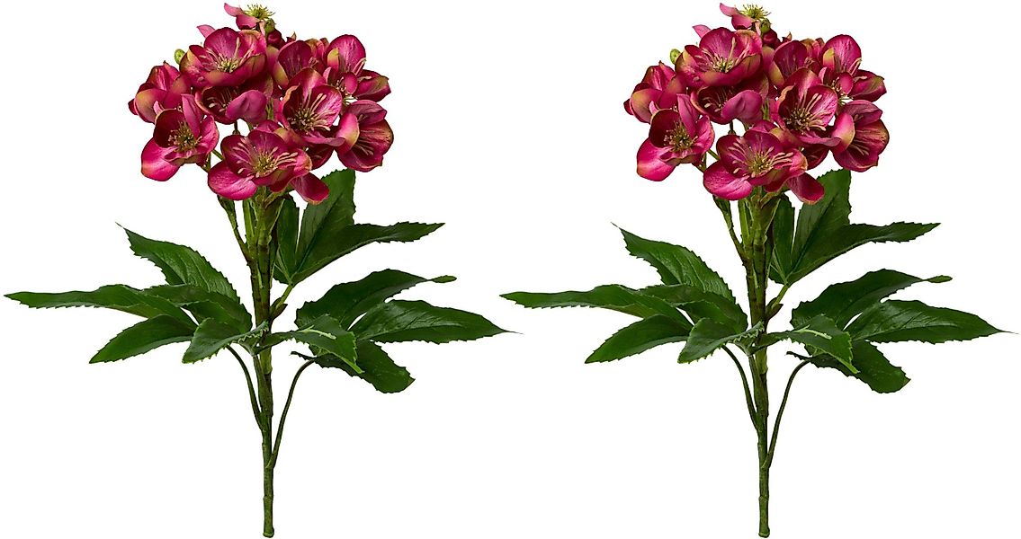 Winterliche Kunstpflanze Weihnachtsdeko Christrose, Creativ green, günstig online kaufen