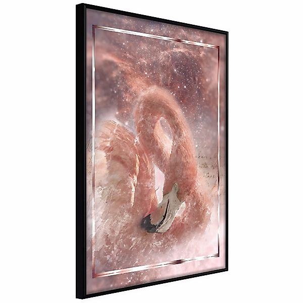 Poster - Stellar Bird günstig online kaufen