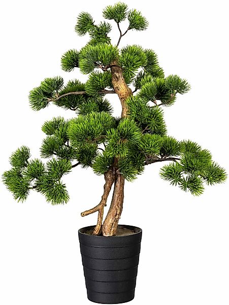 Creativ green Kunstbonsai "Bonsai Kiefer" günstig online kaufen