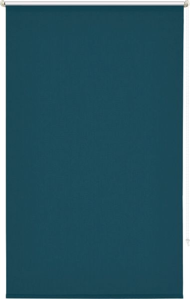 Seitenzugrollo THEMSE, my home, abdunkelnd, ohne günstig online kaufen