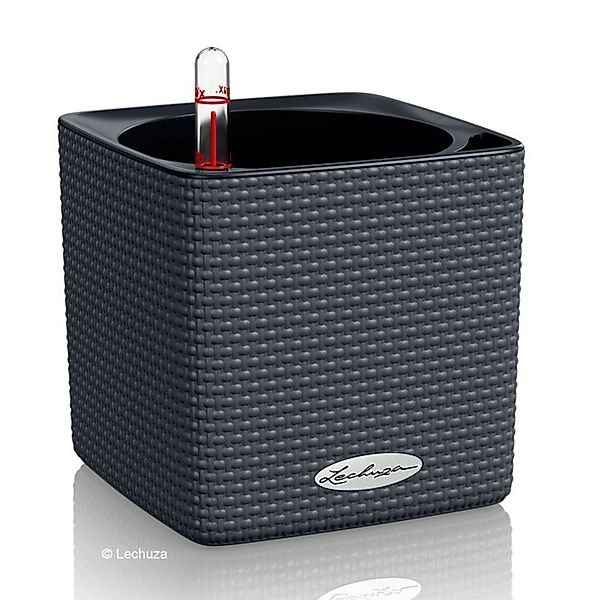 Lechuza® Kräutertopf Cube Color 14 mit günstig online kaufen
