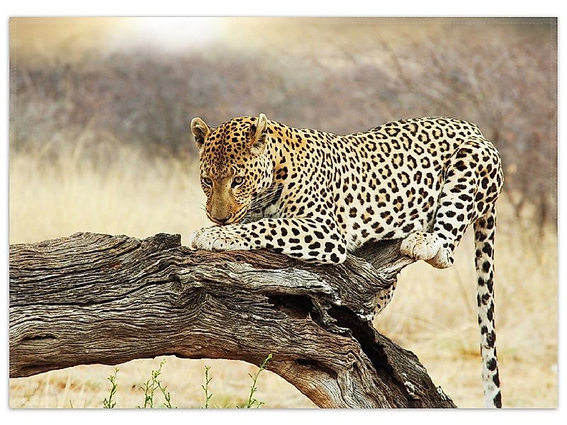 Wallario Teppich Leopard auf Baumstamm in Afrika, rechteckig, rutschfest günstig online kaufen