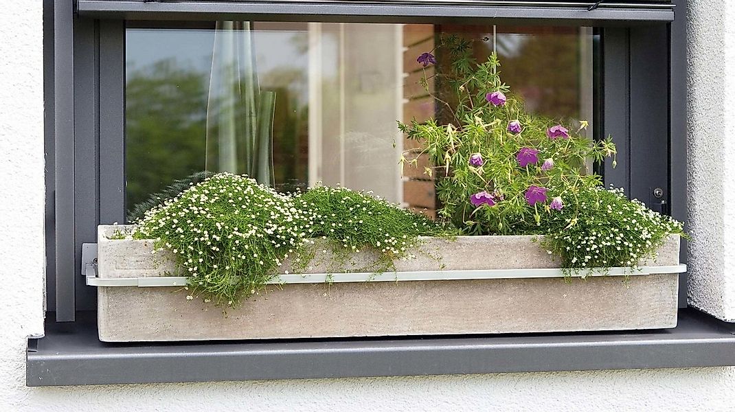 hecht international Blumenkastenhalter günstig online kaufen