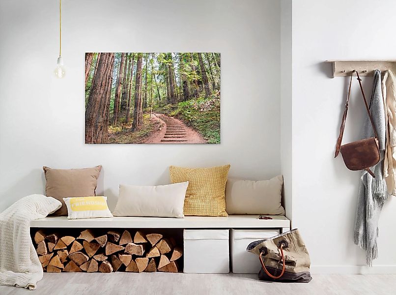 Bricoflor Zauberwald Leinwand Bild In Grün Und Braun Wald Bild Auf Leinwand günstig online kaufen