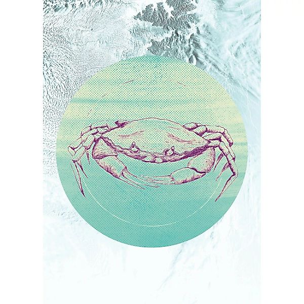 Komar Poster »Crab Sea«, Tiere, (1 St.), Kinderzimmer, Schlafzimmer, Wohnzi günstig online kaufen