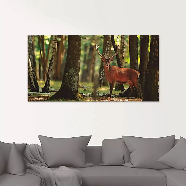 Artland Glasbild "Hirsch 4 - Wald", Wildtiere, (1 St.), in verschiedenen Gr günstig online kaufen