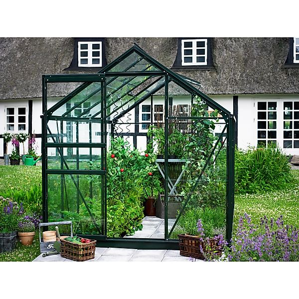 Halls Gewächshaus Popular Grün 6,2 m² günstig online kaufen