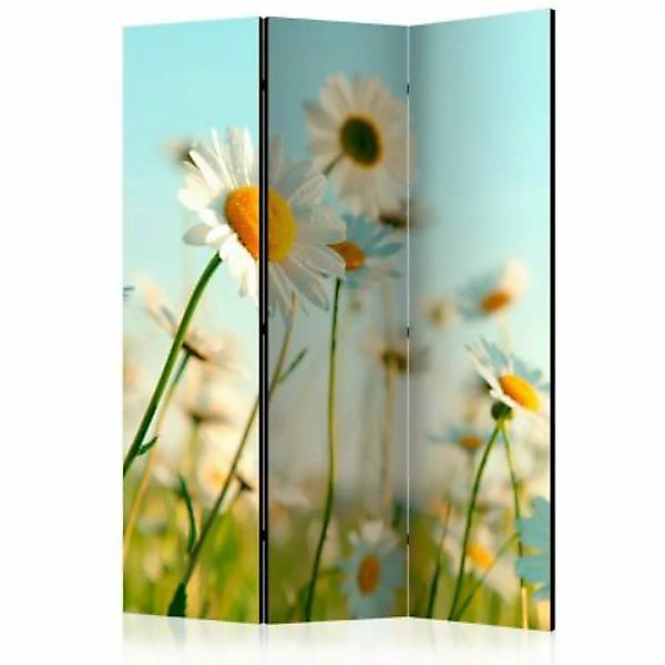artgeist Paravent Daisies - spring meadow [Room Dividers] mehrfarbig Gr. 13 günstig online kaufen