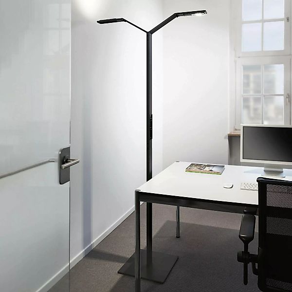 Luctra Floor Twin Linear LED-Stehleuchte schwarz günstig online kaufen