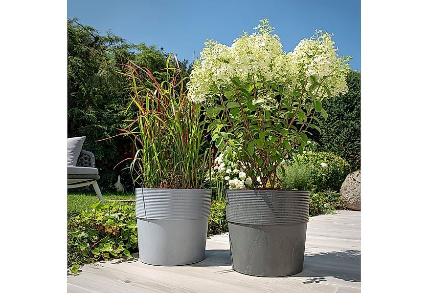 Scheurich Blumentopf 30/266 GROOVE+ günstig online kaufen