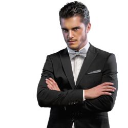 GASSANI Fliege Hochzeitsfliege Karo Tuch Festlich, günstig online kaufen