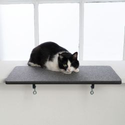 LucyBalu Katzenliege Katzen Fensterbankliege, Fensterbrett Verbreiterung günstig online kaufen