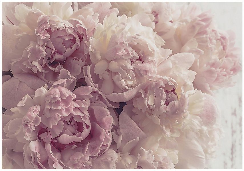 Wallarena Fototapete Blumen Pfingstrosen Rose Vlies Tapete Wohnzimmer Schla günstig online kaufen