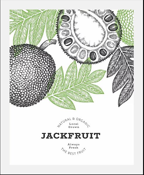 queence Bild "Jackfruit", Obst-Obst Bilder-Schriftzug-Figuren-Abstrakt, (1 günstig online kaufen