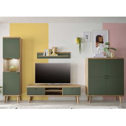 Moderne Wohnwand Skandi in Graugrün Wildeichefarben (vierteilig) günstig online kaufen