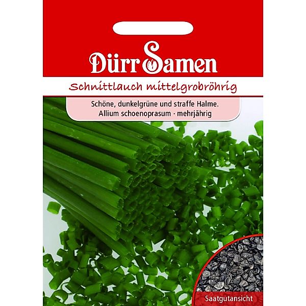 Dürr Samen Schnittlauch Mittelgrobröhrig Miro Saatgut günstig online kaufen
