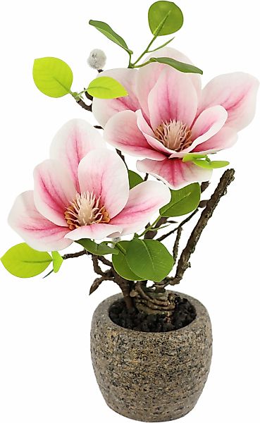I.GE.A. Kunstblume "Magnolie im Topf", Künstlich wie echt Deko Blume Zimmer günstig online kaufen