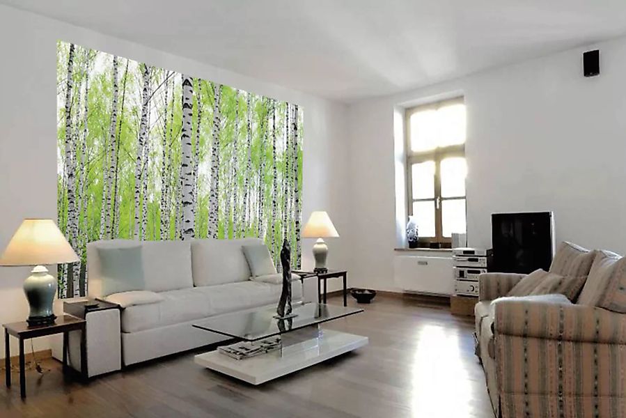 Papermoon Fototapete »Birch Forest«, matt günstig online kaufen