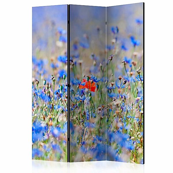 3-teiliges Paravent - A Sky-colored Meadow - Cornflowers [room Dividers] günstig online kaufen