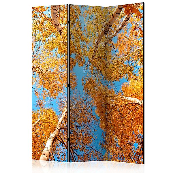 3-teiliges Paravent - Autumnal Treetops [room Dividers] günstig online kaufen