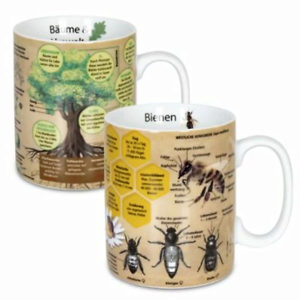 Könitz Wissensbecher Bäume&Biene -2er Set braun günstig online kaufen