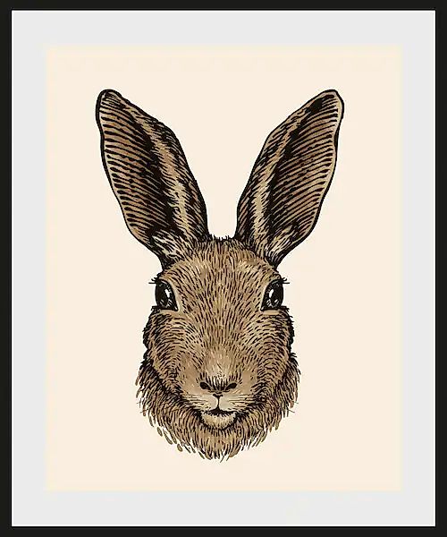 queence Bild »Agus«, Hase-Hasen-Haustiere-Kunst-Ostern, (1 St.), HD Premium günstig online kaufen