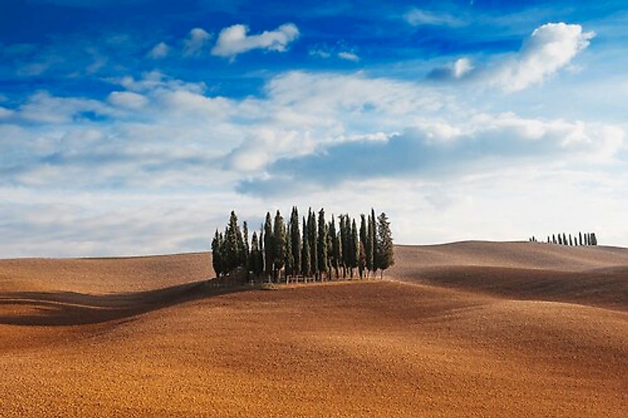 Papermoon Fototapete »Bäume in landschaft« günstig online kaufen