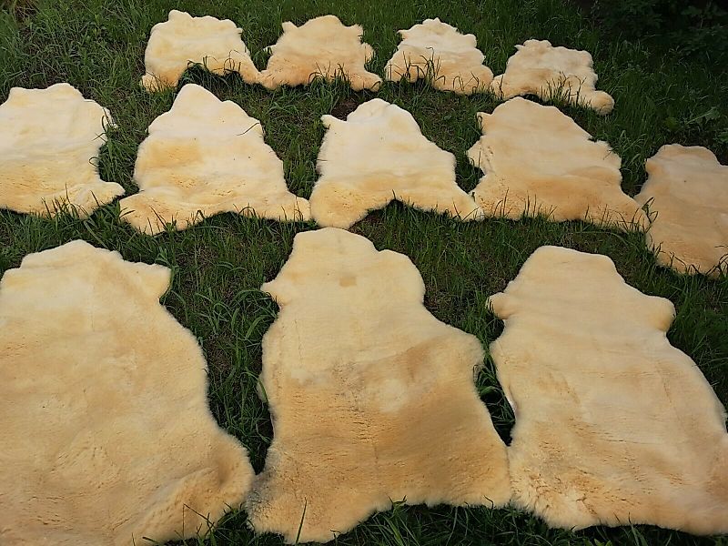 Provellus Fellteppich Med. Schaffell Baby Lammfell günstig online kaufen