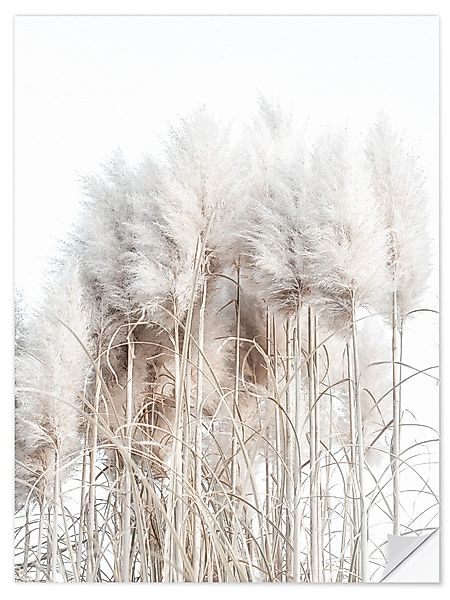 Posterlounge Wandbild Pampasgras I, Magda Izzard, günstig online kaufen