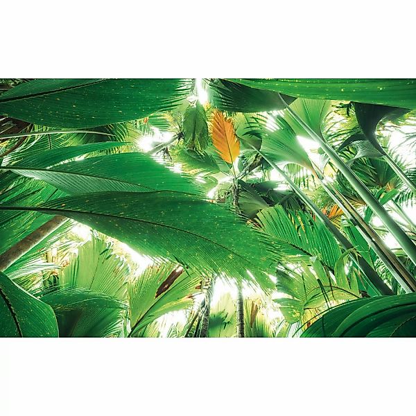 Vlies Fototapete Dschungeldach II 450x280 cm günstig online kaufen
