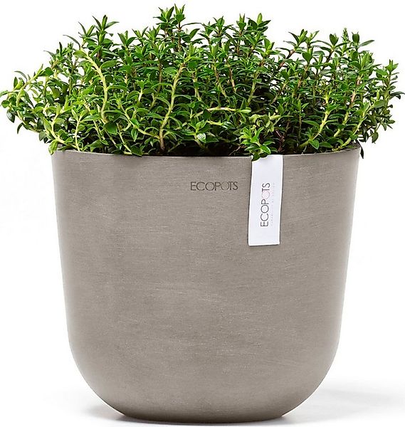 ECOPOTS Blumentopf Oslo 19 Taupe, für den Innenbereich günstig online kaufen