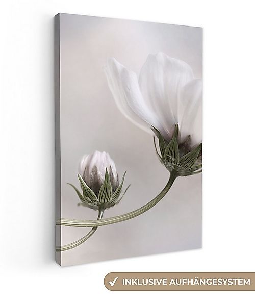 OneMillionCanvasses® Leinwandbild Blumen - Stillleben - Natur - Grau, Fotod günstig online kaufen