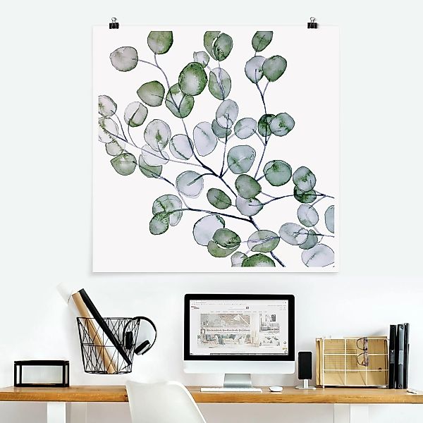 Poster Grünes Aquarell Eukalyptuszweig günstig online kaufen