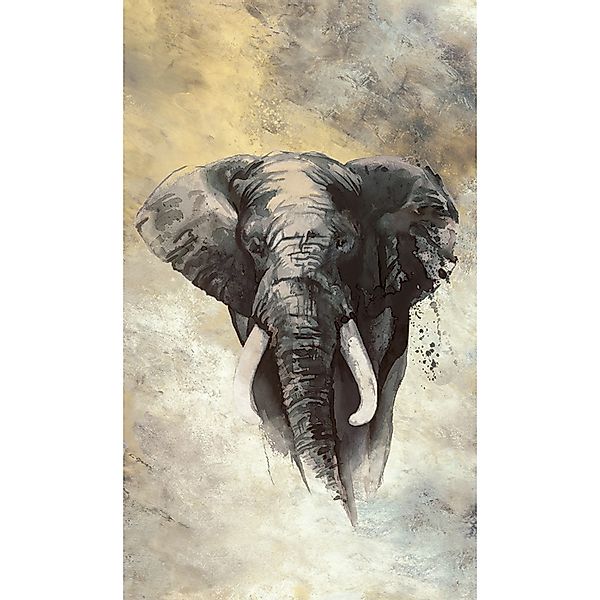 Marburg Fototapete »Tapete Wild Vision«, 3D-Optik, moderne Vliestapete für günstig online kaufen