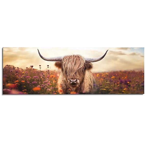 Reinders! Deco-Panel Frühlingshochländer, Wohnzimmer - Braun günstig online kaufen