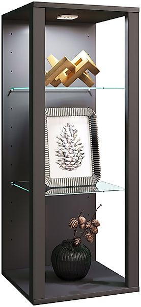 VCM Hängevitrine Holz Glas Wandvitrine Wandregal günstig online kaufen