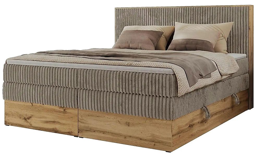 Boxspringbett mit Bettkasten Wood Classic King ¦ braun ¦ Maße (cm): B: 204 günstig online kaufen