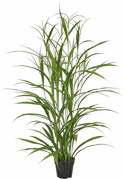 Creativ green Kunstgras »Grasbusch«, mit filigranen Grashalmen günstig online kaufen