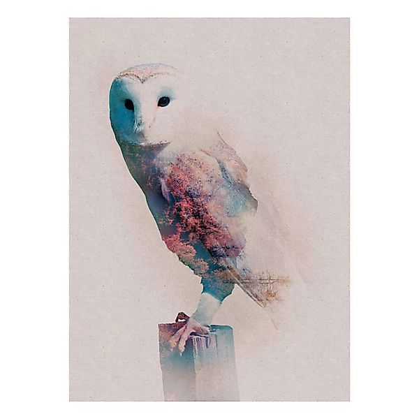 Komar Wandbild Animals Forest Owl Eule B/L: ca. 30x40 cm günstig online kaufen