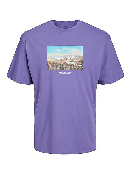 Jack & Jones T-Shirt JORVESTERBRO PHOTO günstig online kaufen