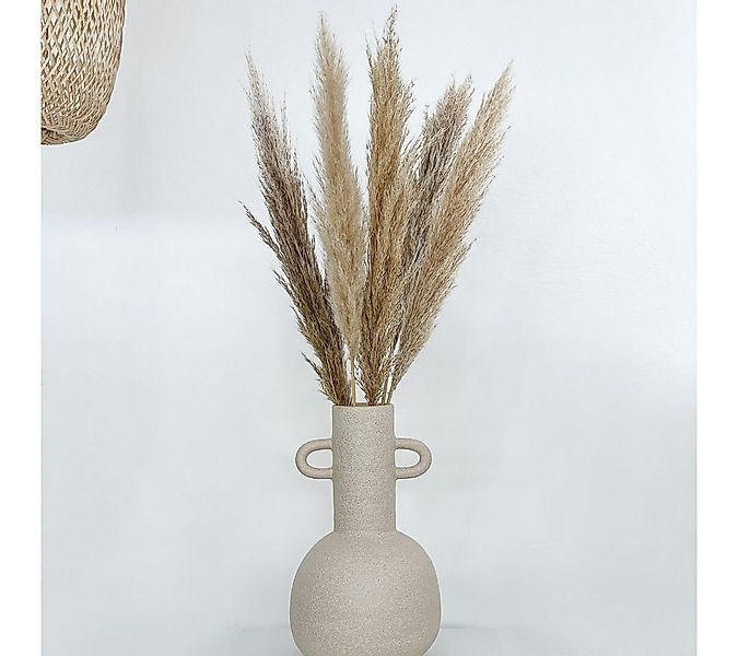 Trockenblume Pampasgras beige natur, für Tischvase, LYKKE & You günstig online kaufen