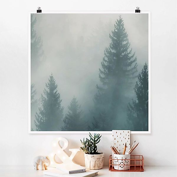 Poster Natur & Landschaft - Quadrat Nadelwald im Nebel günstig online kaufen