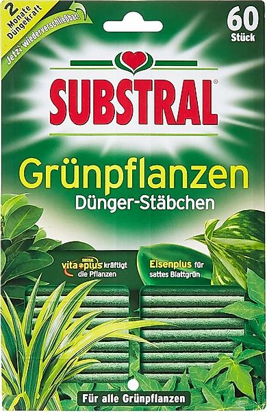 Evergreen Pflanzenstärkungsmittel Substral Dünger-Stäbchen für Grünpflanzen günstig online kaufen