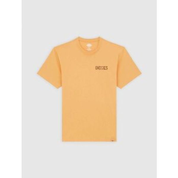 Dickies  T-Shirts & Poloshirts COMPANION TEE - DK0A4Z98K411-OAK BUFF günstig online kaufen