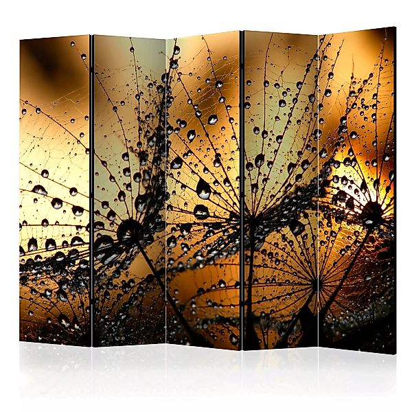 5-teiliges Paravent - Dandelions In The Rain Ii [room Dividers] günstig online kaufen