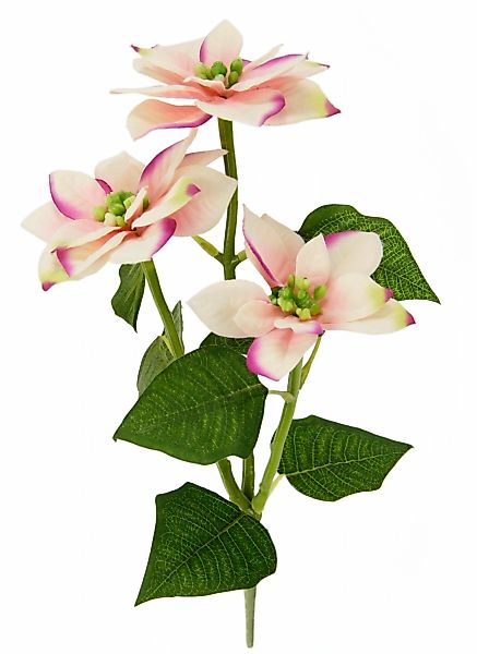 I.GE.A. Kunstblume "Poinsettie", Künstlicher Poinsettiazweig, 5er Set günstig online kaufen