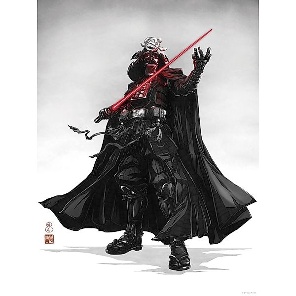 Komar Wandbild Star Wars Vision Samurai Dark Lord 30 cm x 40 cm Rot günstig online kaufen