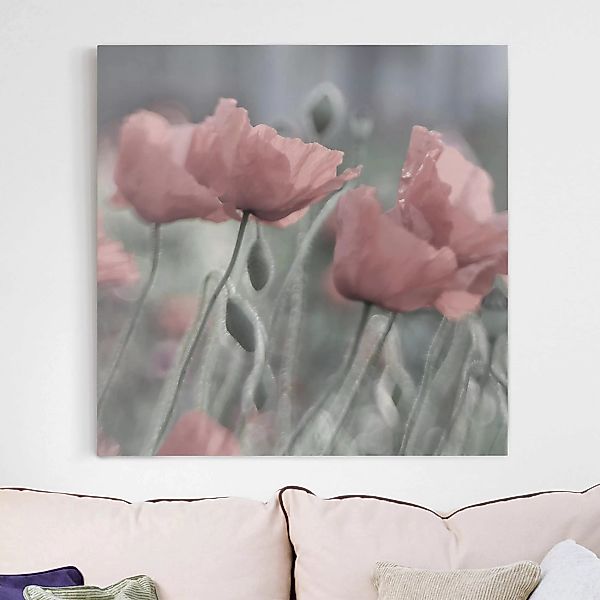 Leinwandbild Blumen - Quadrat Malerische Mohnblumen günstig online kaufen