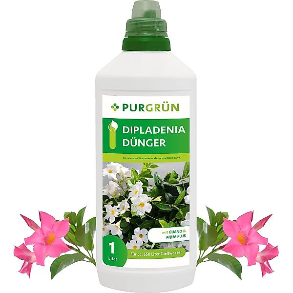Purgrün Blumendünger Purgrün Dipladenia Dünger, NPK günstig online kaufen